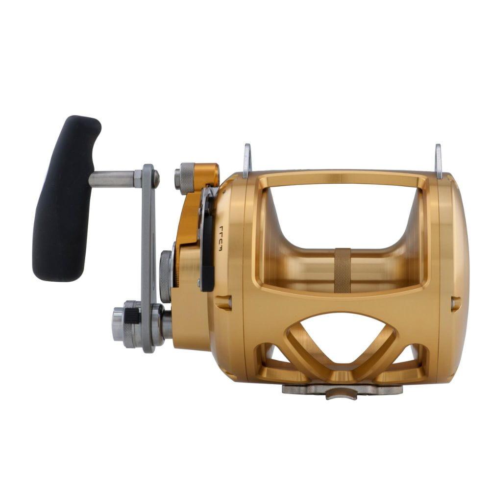 Penn International VISW 80 Gold Big Game Rolle